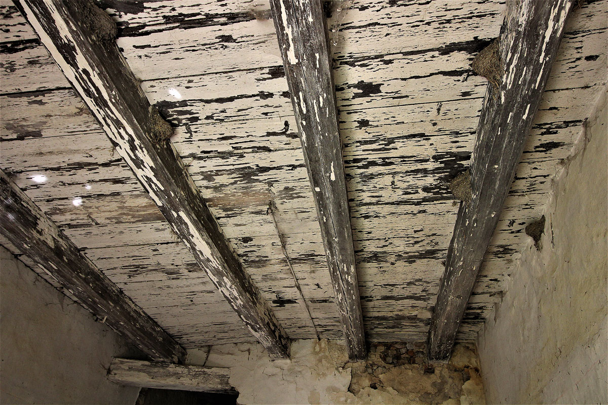 Olšovský dvůr strop v síni před demolicí